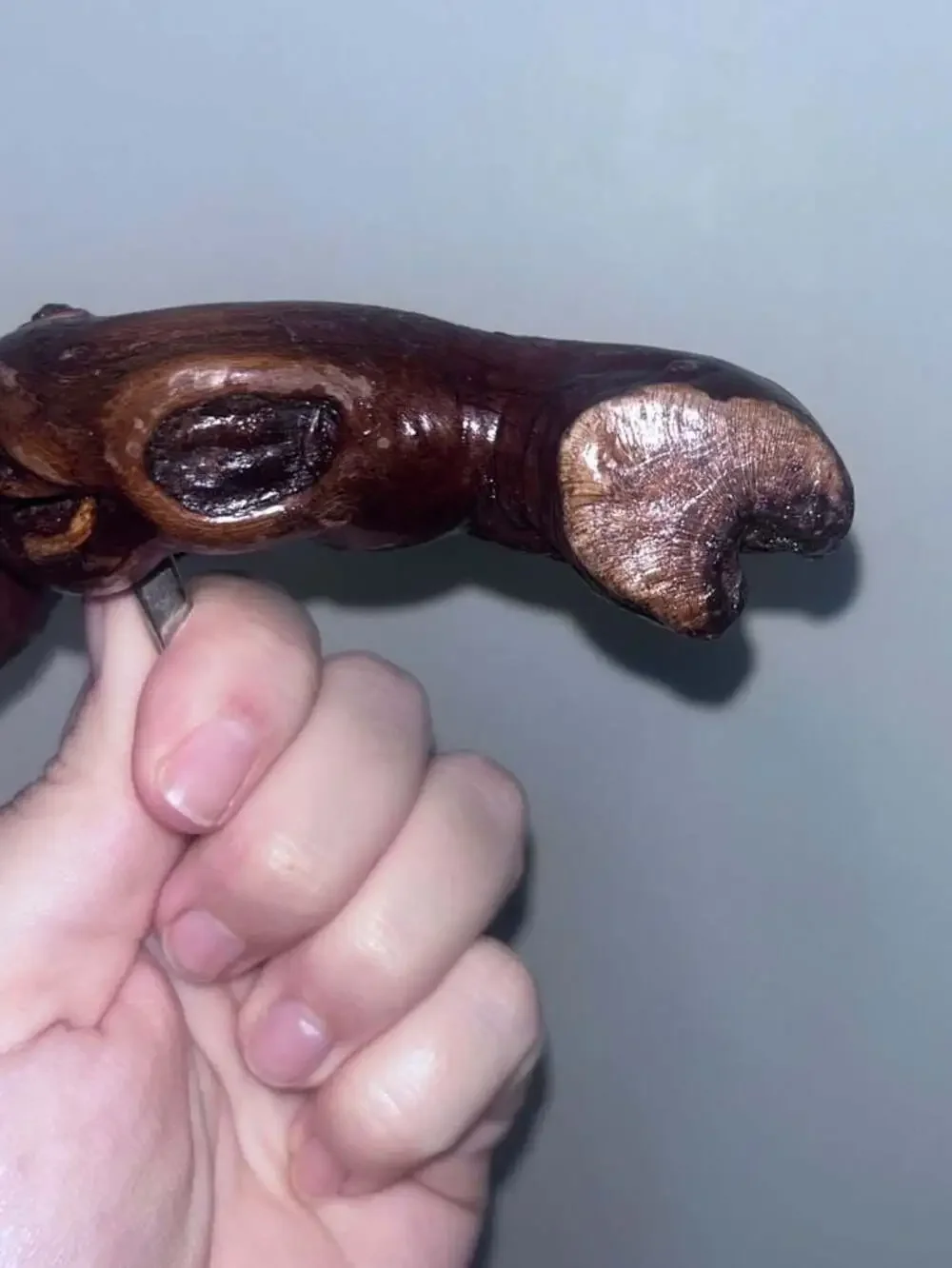 Vintage French Burled Grapevine Wood Corkscrew